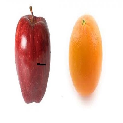 Fruit Combo 2