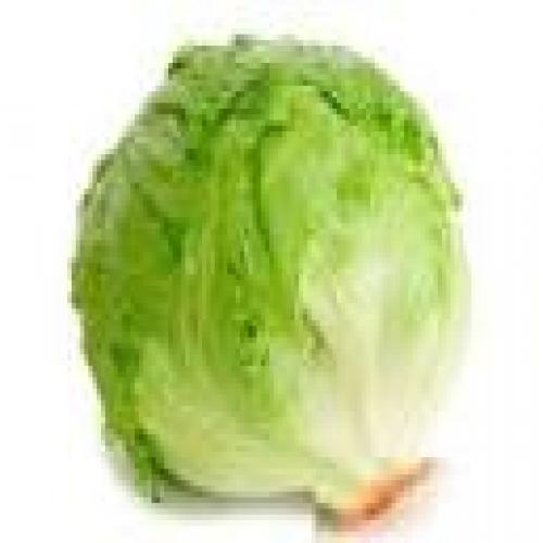 Cabbage