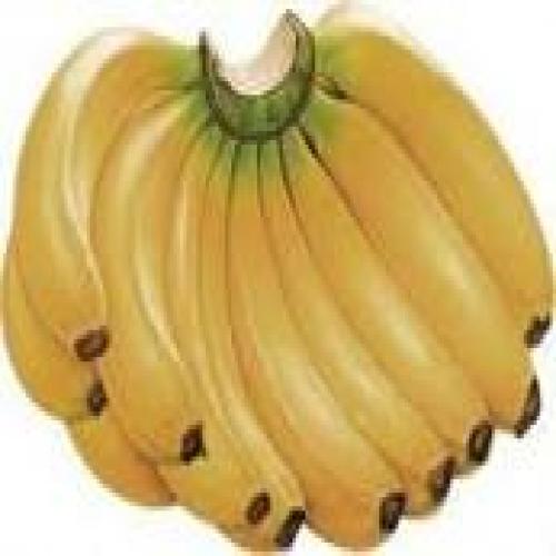 Robusta Banana