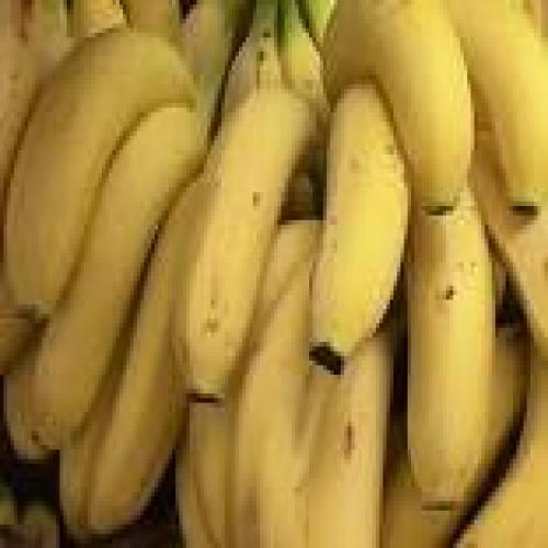 Yellow Bananas