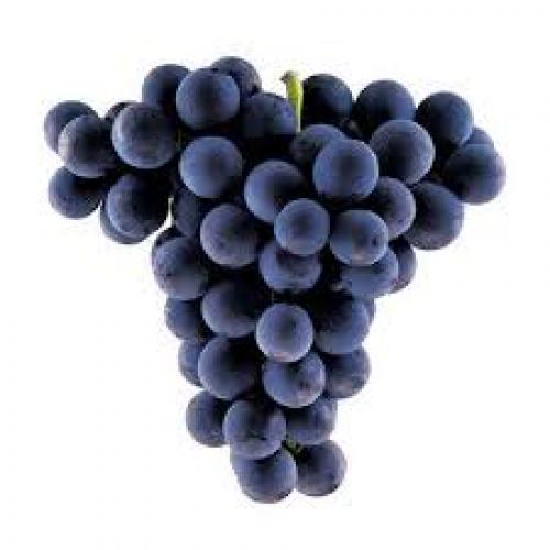 Grapes - Panneer