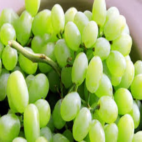 Grapes - Green