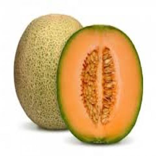 Musk Melon