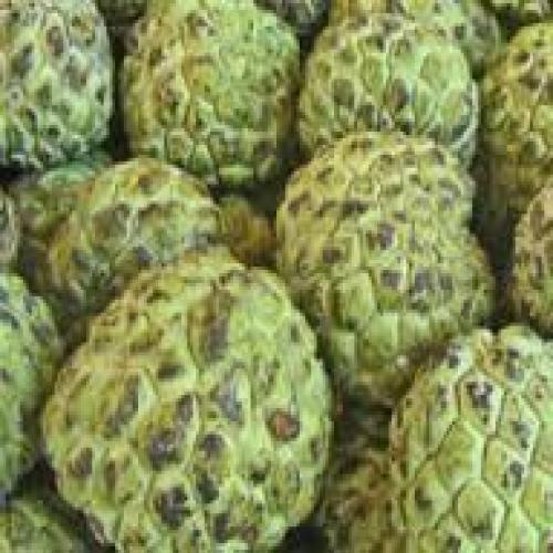 Custard Apple