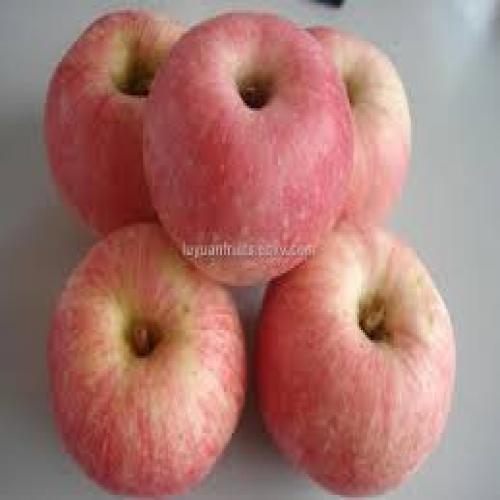 Fuji Apple