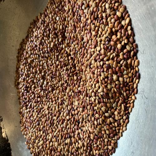Horsegram (Kollu) powder