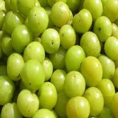 Goose Berry Pickle