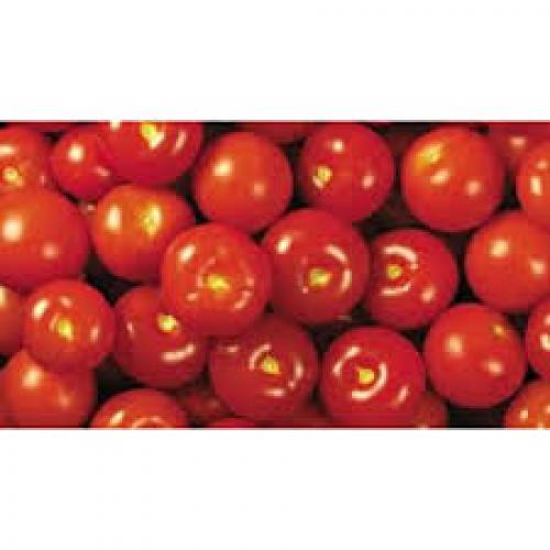 Tomato - Local