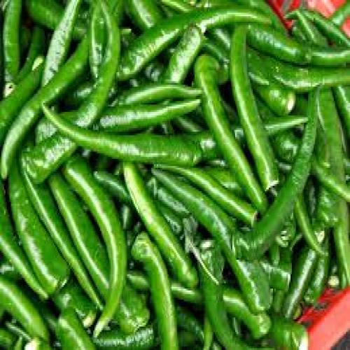 Green Chillies