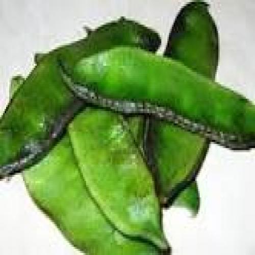 Broad Beans