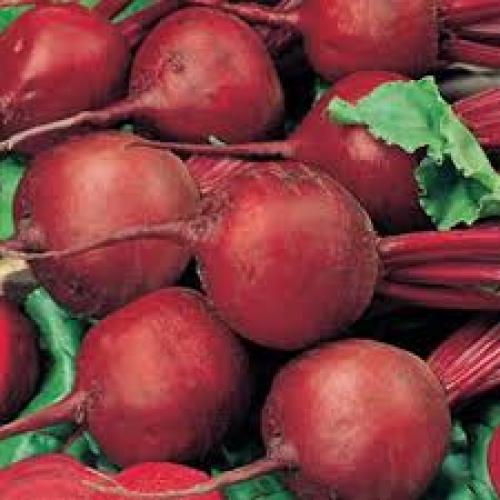 Beet Root