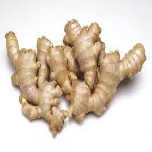 Ginger