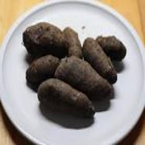 Slender Yam