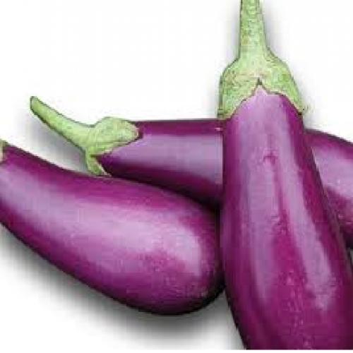 Brinjal Ujala