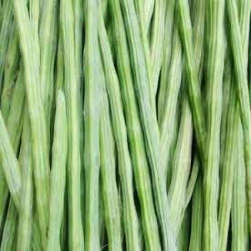 Drum Stick