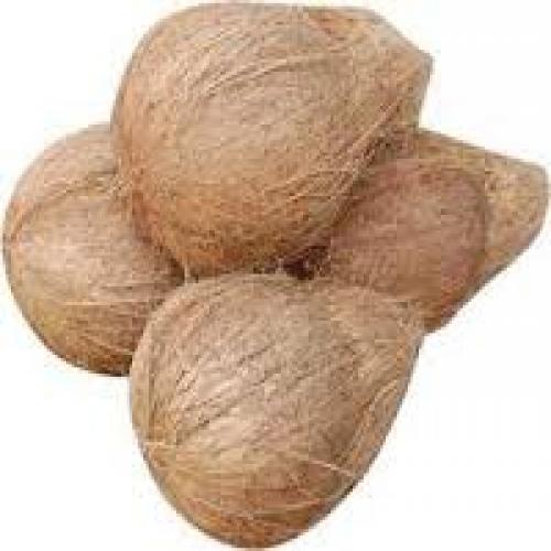 Coconut - Big