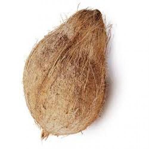 Coconut - Small