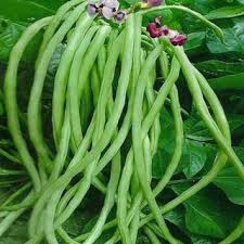 Cow Peas