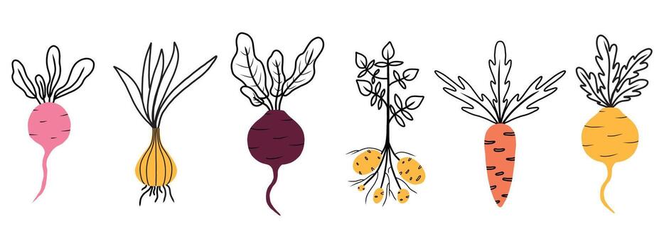 Roots