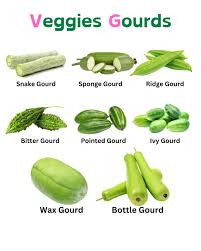 Gourds