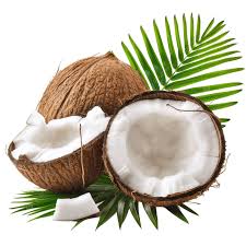 Coconuts
