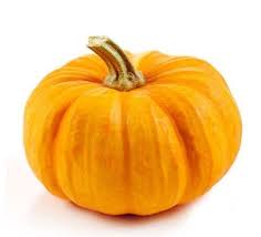 Pumkin